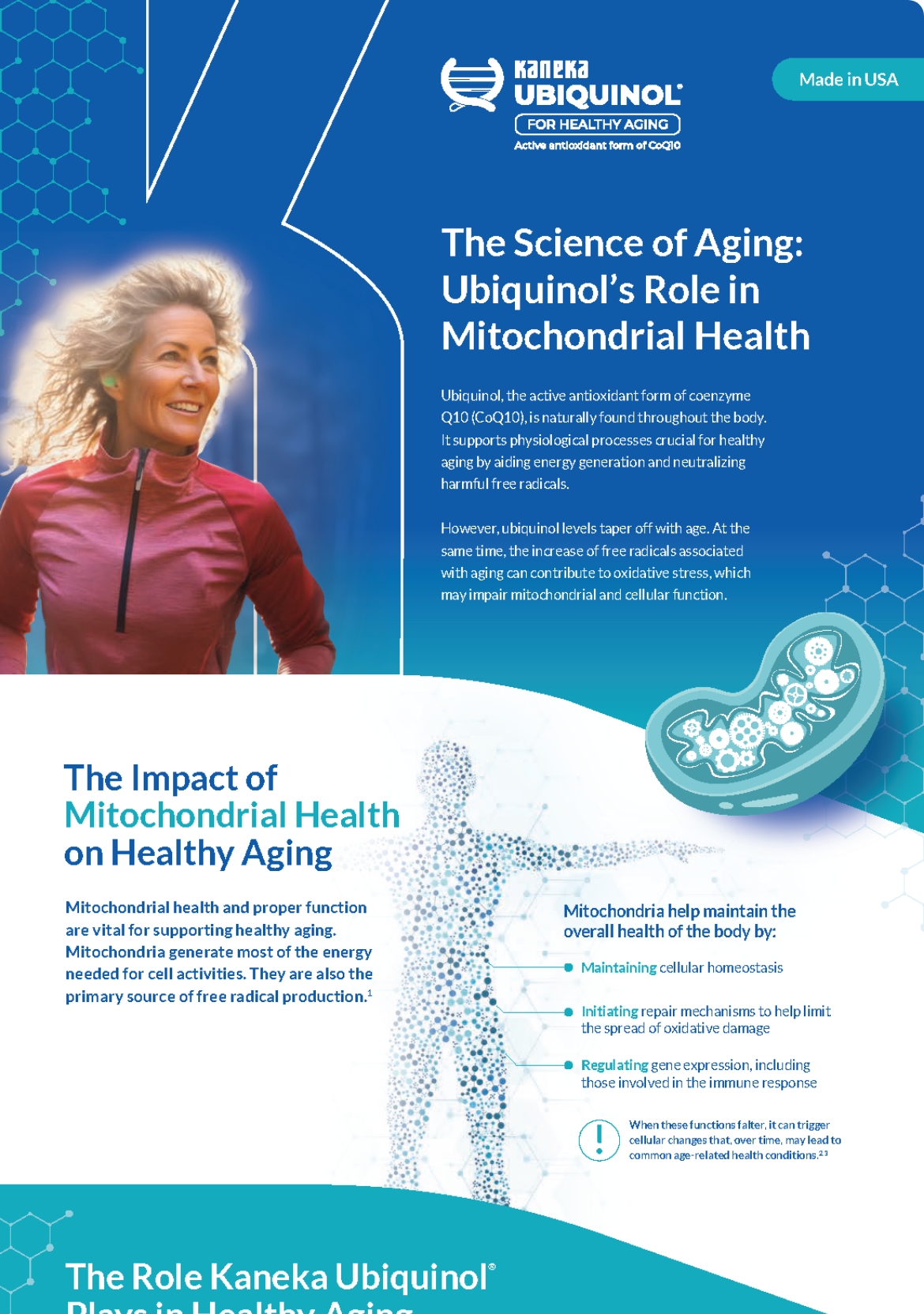 Web Update_Healthy Aging Infographic