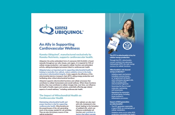 An Ally in Supporting Cardiovascular Wellness fact sheet